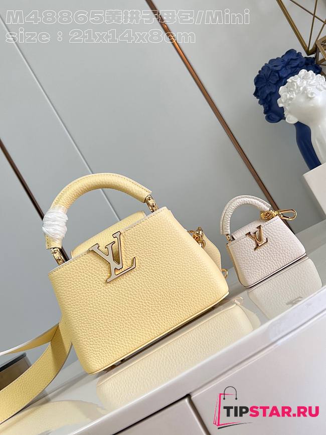 Louis Vuitton Capucines Mini Taurillon Leather In Yellow M48865 - 1