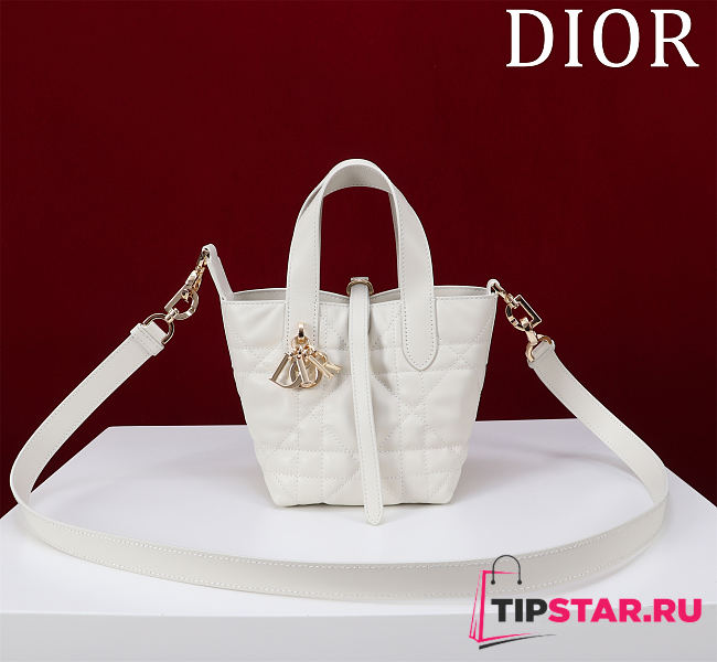 Dior Small Dior Toujours Vertical Tote Bag Latte Macrocannage Calfskin - 1