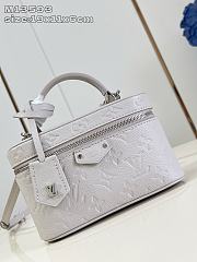Louis Vuitton Vanity Chain Pouch Monogram Empreinte In White - 2