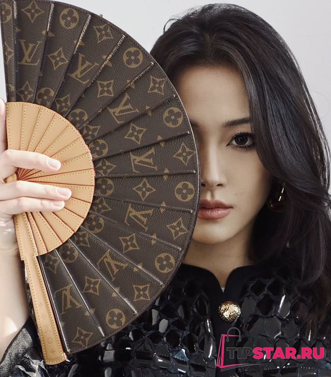 Louis Vuitton Fan Monogram In Brown - 1