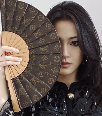Louis Vuitton Fan Monogram In Brown