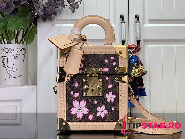 Louis Vuitton The Camera Box Sakura Brown - 1