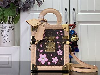 Louis Vuitton The Camera Box Sakura Brown