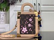 Louis Vuitton The Camera Box Sakura Brown - 4