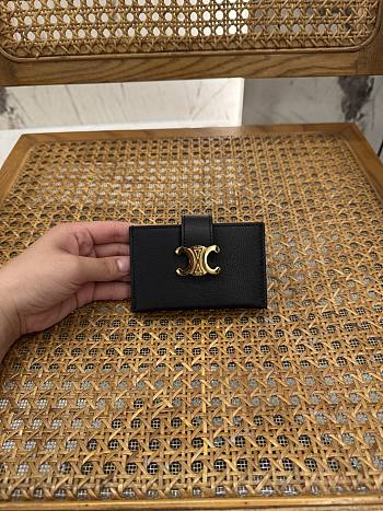 Celine Triomphe Accordeon Wallet In Black