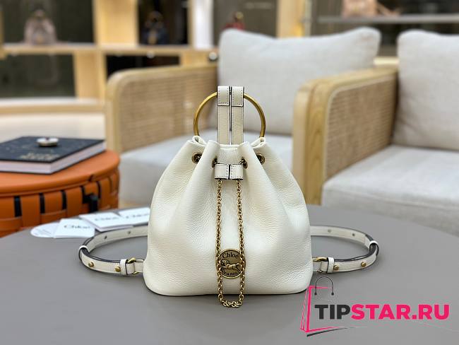 Chloe soft imported first-layer cowhide backpack 04 - 1