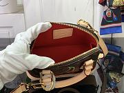Louis Vuitton Alma LV x TM Nano Bag Material Monogram Canvas - 4