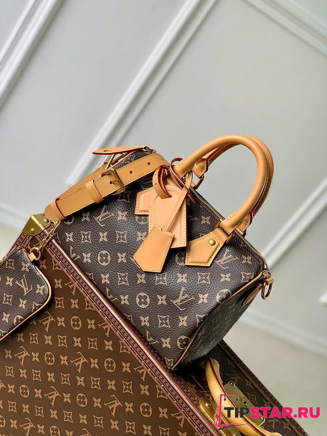 Louis Vuitton Speedy Bandoulière 25 Monogram pattern - 1
