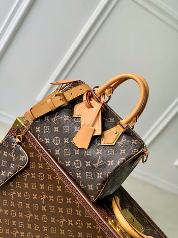 Louis Vuitton Speedy Bandoulière 25 Monogram pattern