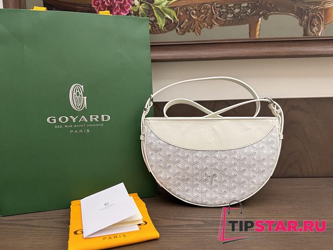 Goyard Hirondelle Bag 10 - 1
