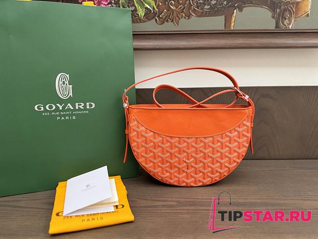 Goyard Hirondelle Bag 08 - 1