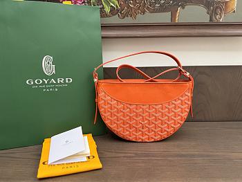 Goyard Hirondelle Bag 08