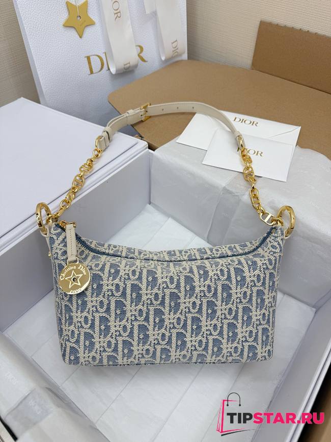 Dior Star Hobo Bag Blue Oblique Chambray with Raffia - 1