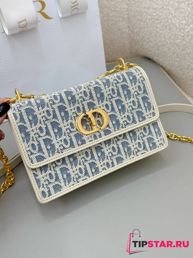 Dior Miss Caro Pouch with Chain - 1