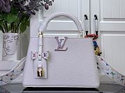 LV x TM Capucines BB 27x17.3x9 cm - 1