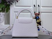 LV x TM Capucines Mini 21x14x8 cm - 5