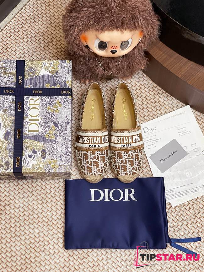 Dior Granville Espadrille Oblique Embroidered Cotton 05 - 1