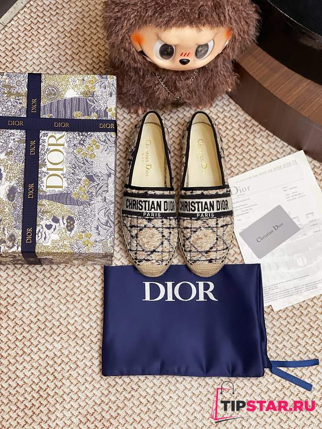 Dior Granville Espadrille Oblique Embroidered Cotton 04 - 1