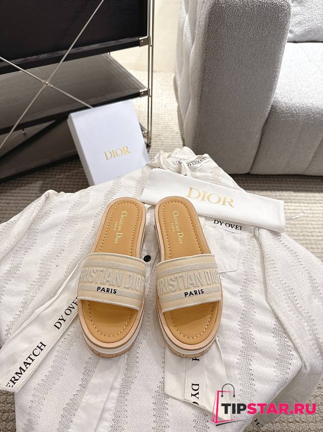 Dior Dway Slide Aquamarina 4.5 cm In Gray - 1