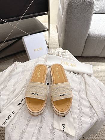 Dior Dway Slide Aquamarina 4.5 cm In Gray