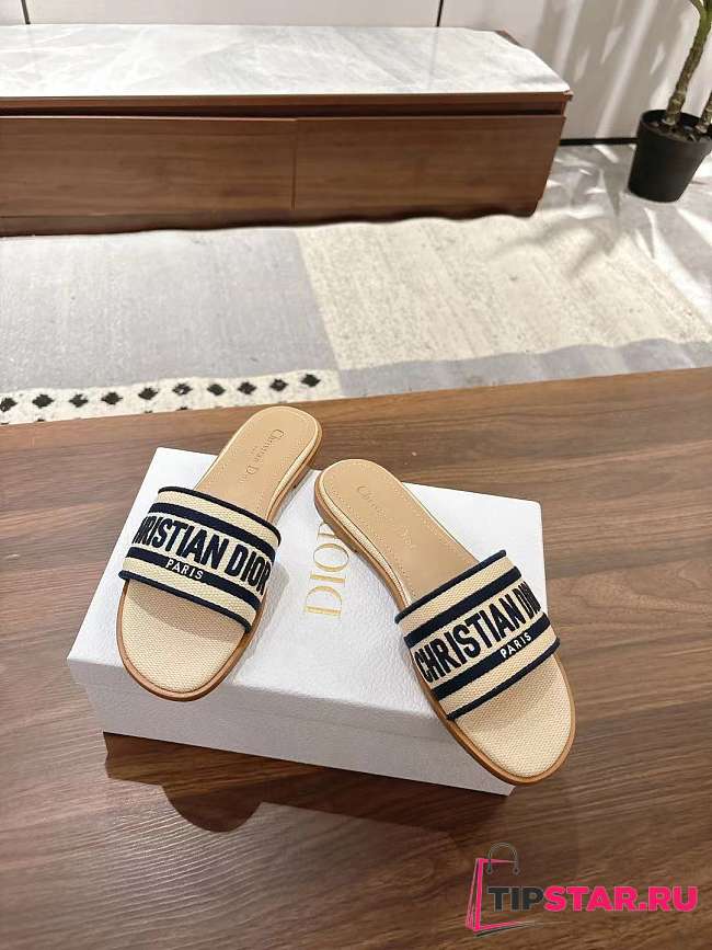 Dior Dway Slide Aquamarina In Navy Blue - 1