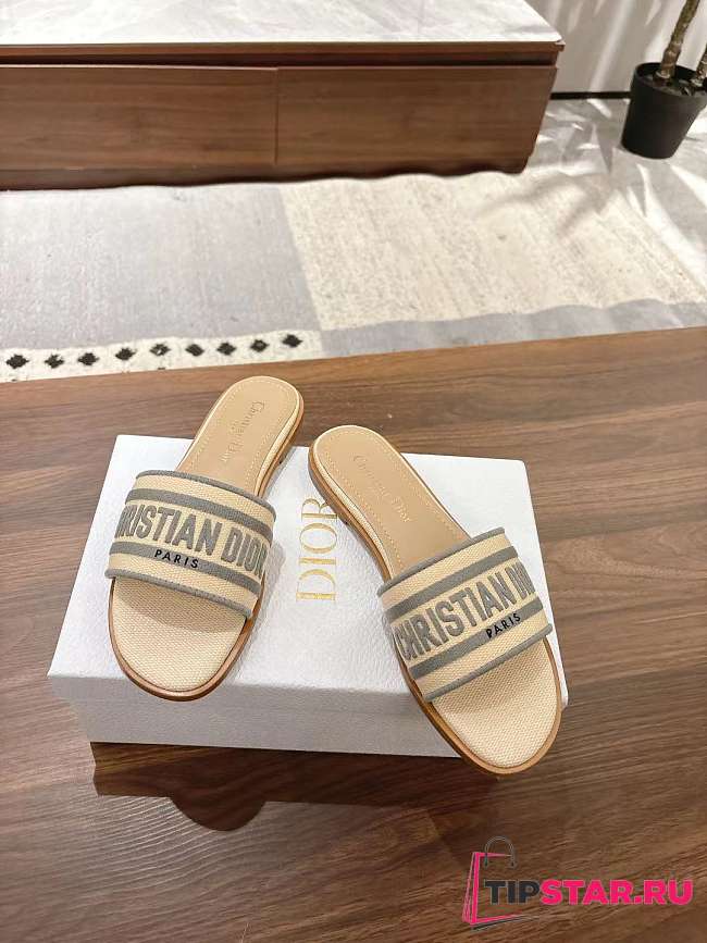Dior Dway Slide Aquamarina In Gray - 1