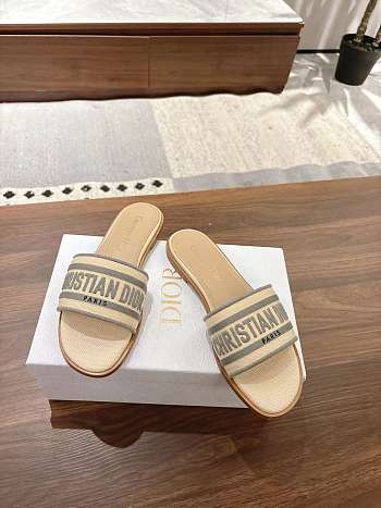 Dior Dway Slide Aquamarina In Gray