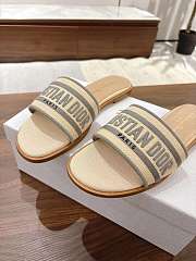 Dior Dway Slide Aquamarina In Gray - 2