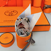 Hermes Twilly Scarf 04 - 2