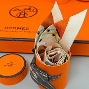 Hermes Twilly Scarf 03 - 4