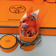 Hermes Twilly Scarf 01 - 4