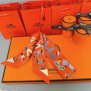 Hermes Twilly Scarf 01 - 3