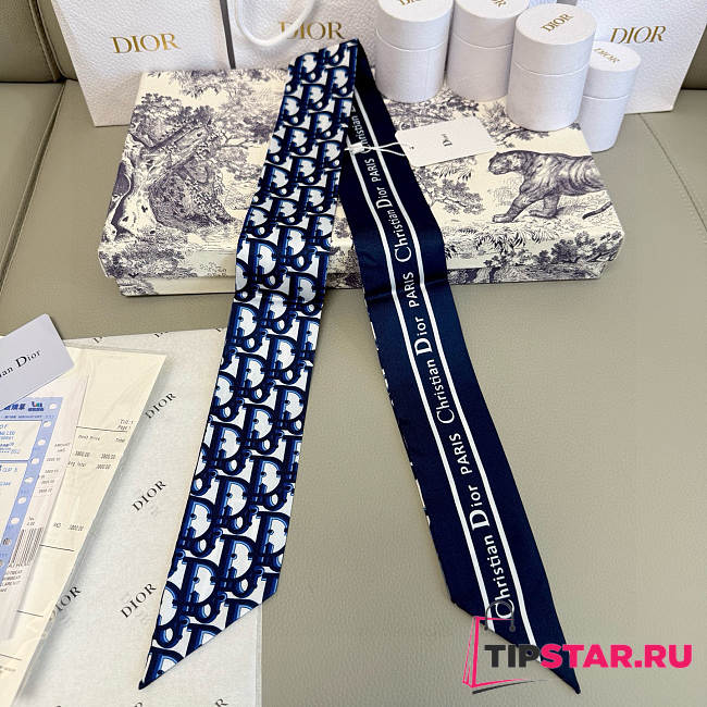 Dior Mitza Scarf Twilly Silk In Navy Blue - 1