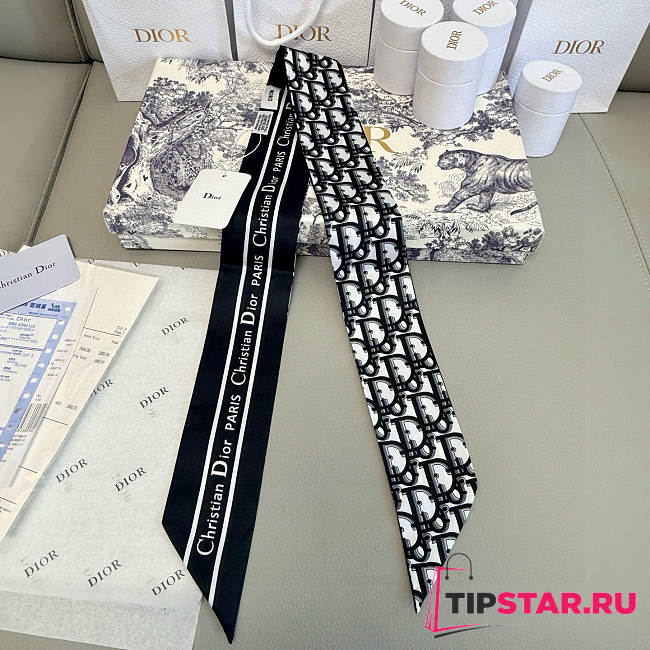 Dior Mitza Scarf Twilly Silk In Black - 1