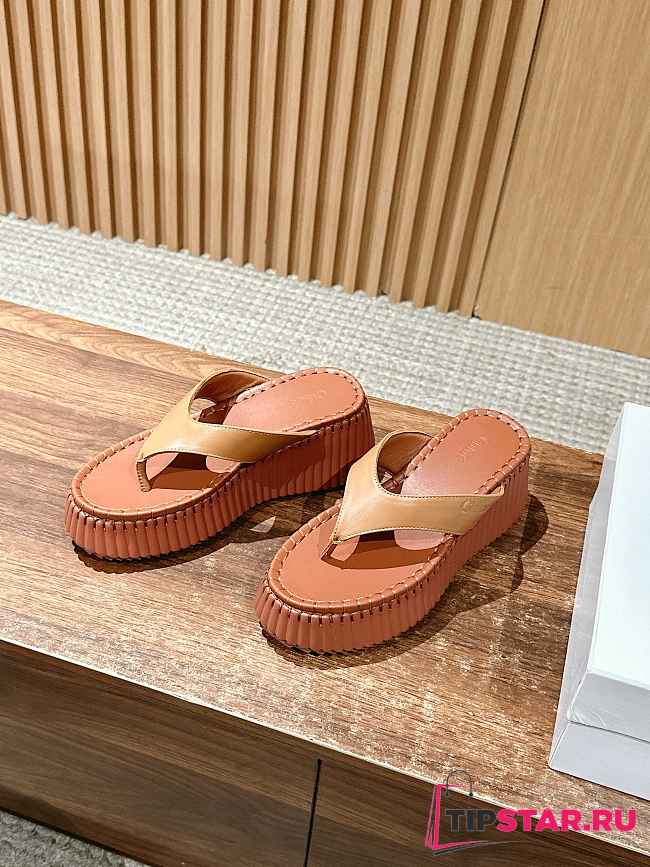 Chloe Thick-soled Height-enhancing Flip-flops In Brown - 1