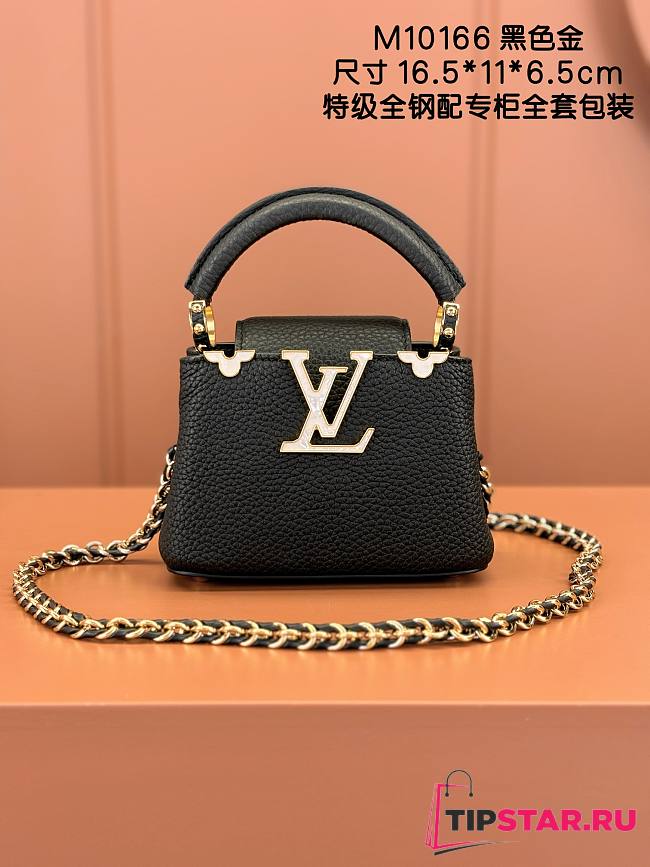 Louis Vuitton Capucines Nano Bag In Black M10166 - 1