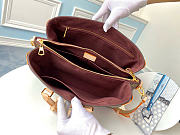 Louis Vuitton Soufflot MM shoulder Handbag - 4