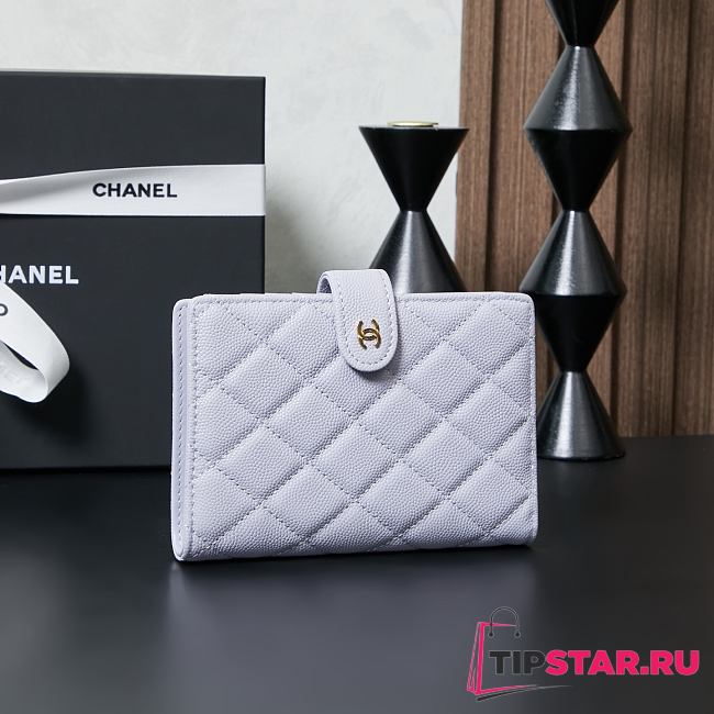 Chanel Multi-Function Passport Holder 09 - 1