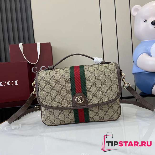 Gucci Ophidia medium top handle bag beige and dark brown - 1