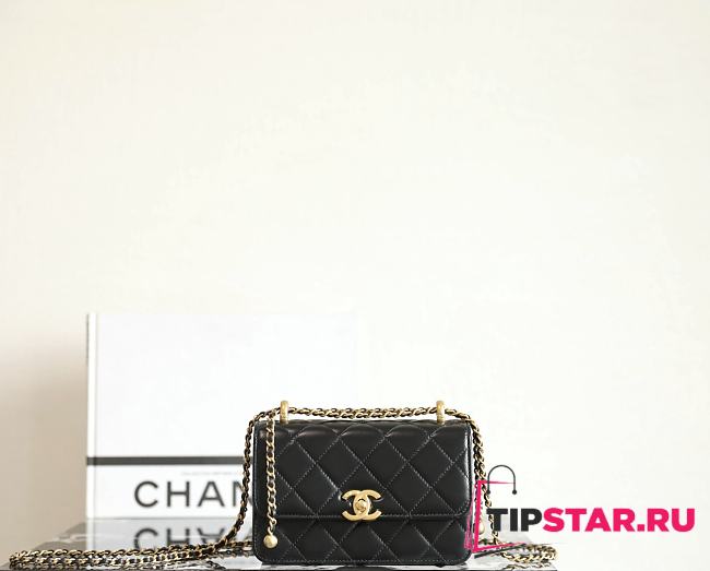 Chanel WOC Lambskin Black Size 19x12x8 cm - 1