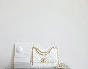 Chanel WOC Lambskin White Size 22x14.5x8 cm - 1