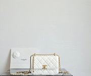 Chanel WOC Lambskin White Size 19x12x8 cm - 1