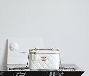 Chanel Mini Vanity Case In White - 1