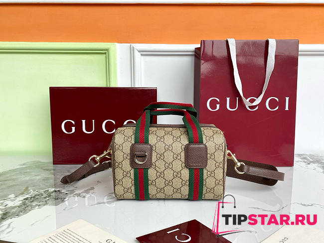 Gucci Mini GG handbag Beige and dark brown soft - 1