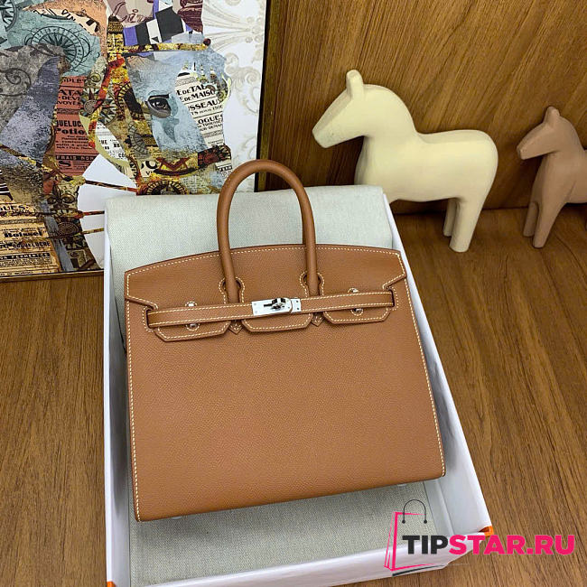 Hermes Birkin 25 Silver Hardware in Brown Color - 1