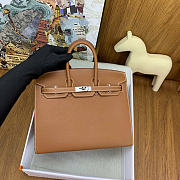 Hermes Birkin 25 Silver Hardware in Brown Color - 2