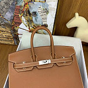 Hermes Birkin 25 Silver Hardware in Brown Color - 3