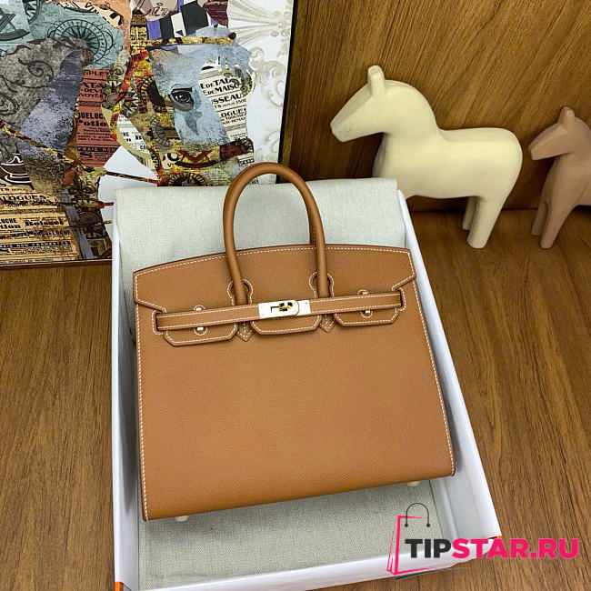 Hermes Birkin 25 Gold Hardware in Brown Color - 1