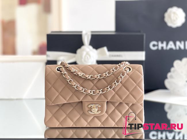 Chanel Classic Flap Bag Carviar Leather In Dark beige Size 23 cm - 1