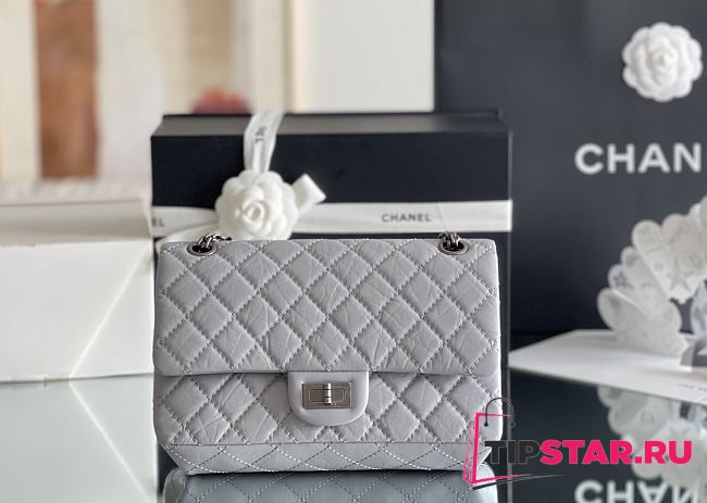 Chanel 2.25 Miss CoCo's Bag In Silver Hardware Gray - 1